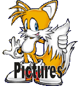 sonicpictures.gif